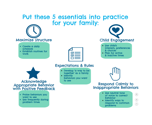 PBIS Model